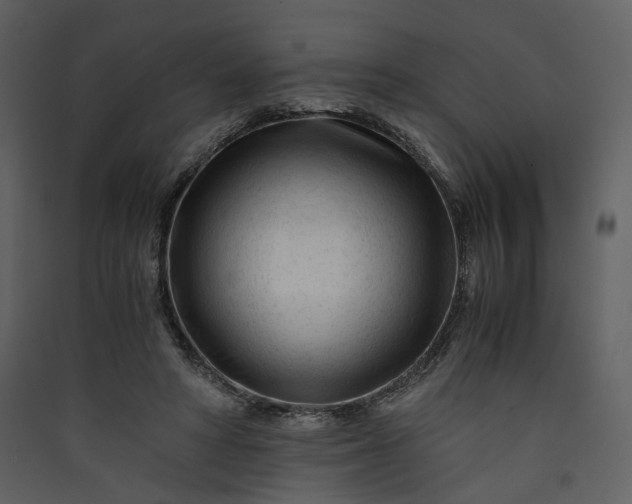 X0000089950402200707131520