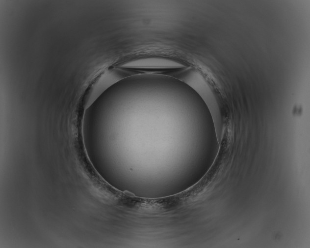X0000089950403200707131520