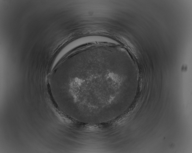 X0000089950405200707131520