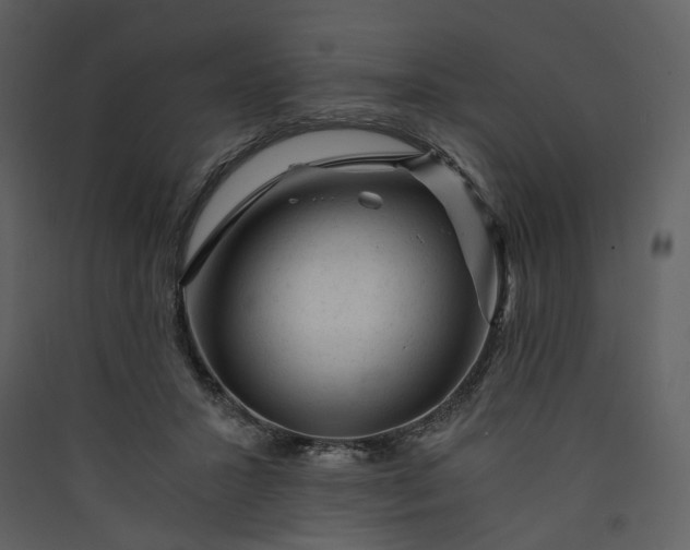X0000089950407200707131520