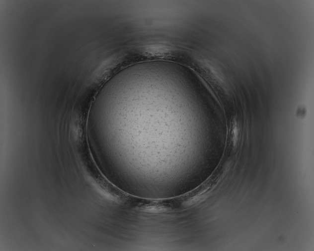X0000089950408200707131520