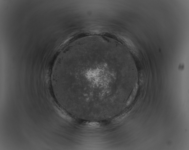 X0000089950409200707131520