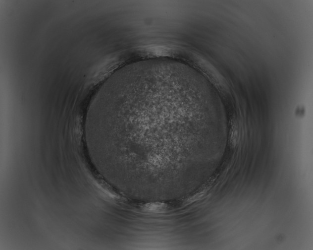 X0000089950410200707131520