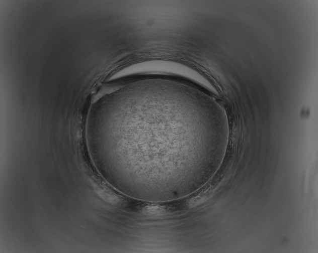 X0000089950413200707131520