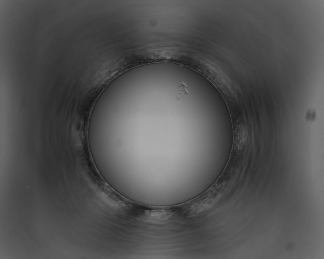 X0000089950414200707131520