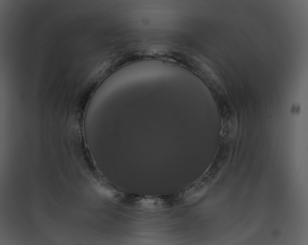 X0000089950415200707131520
