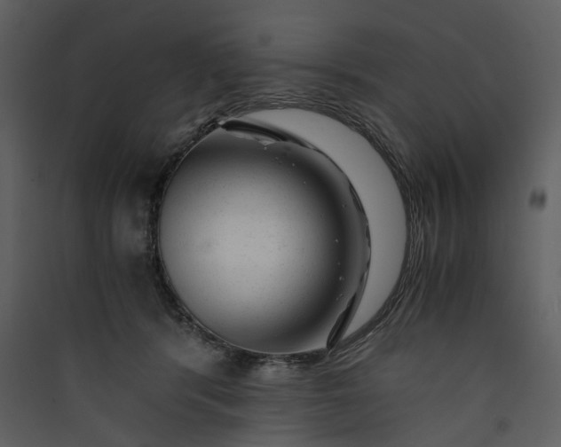 X0000089950416200707131520