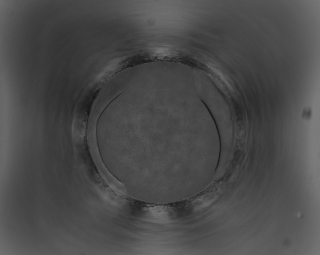 X0000089950417200707131520