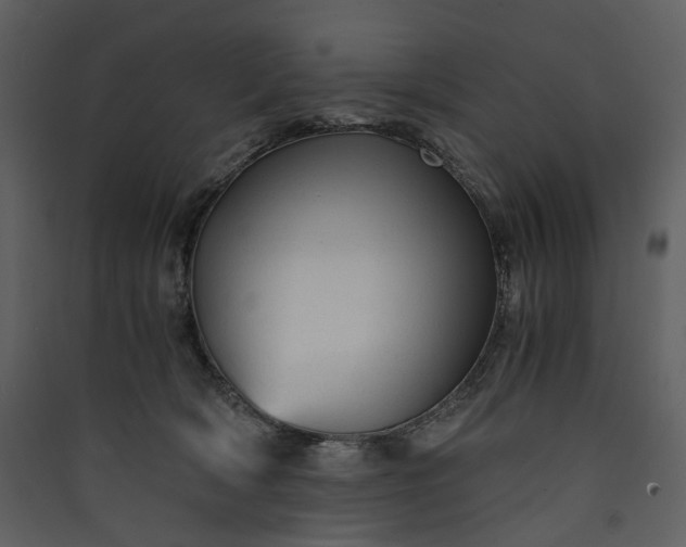 X0000089950418200707131520