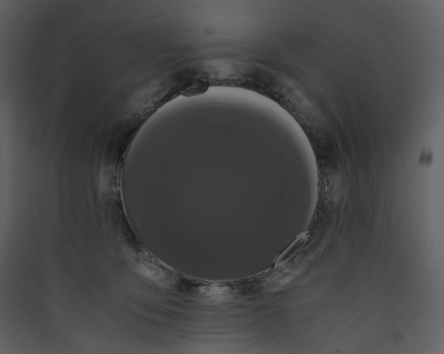 X0000089950419200707131520