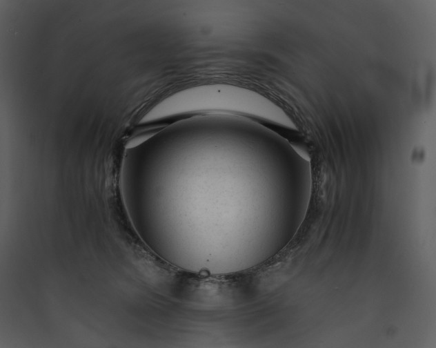 X0000089950420200707131520