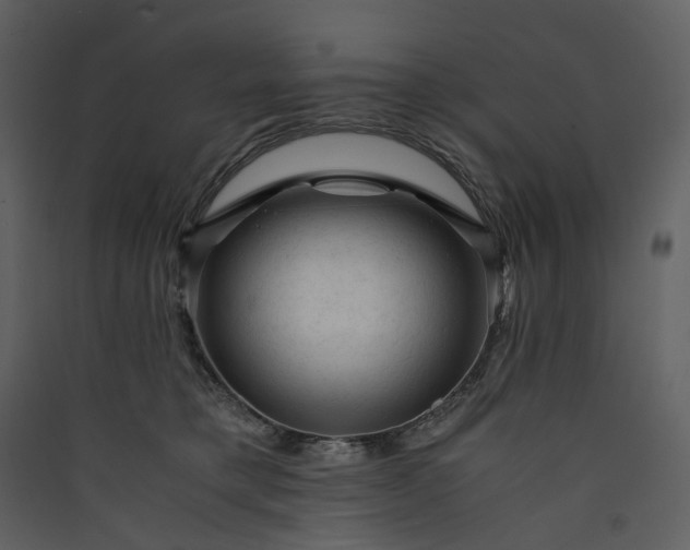 X0000089950421200707131520