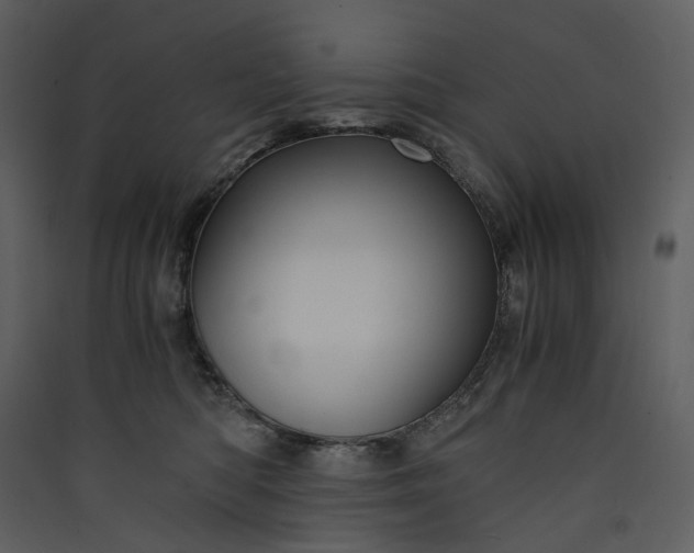 X0000089950422200707131520