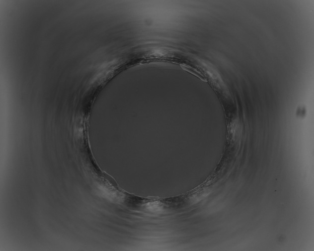 X0000089950423200707131520