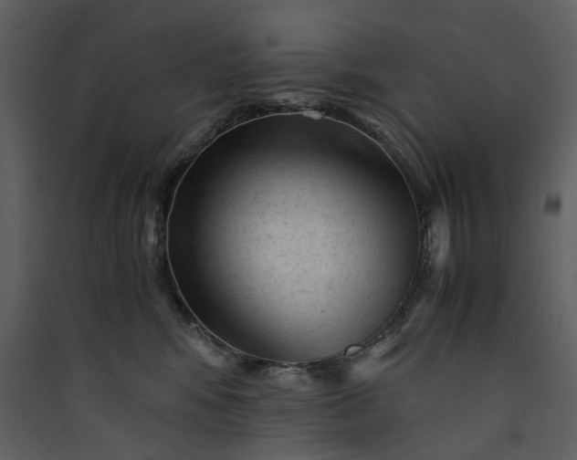 X0000089950424200707131520