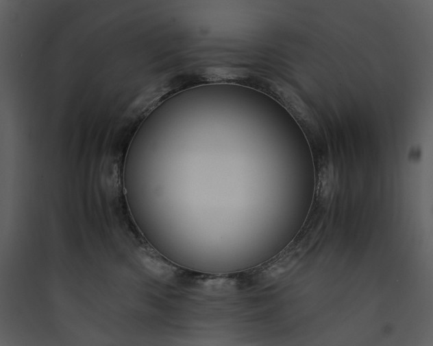 X0000089950426200707131520