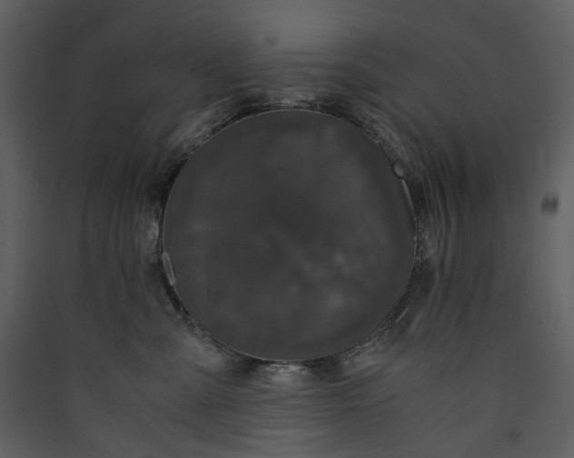X0000089950427200707131520