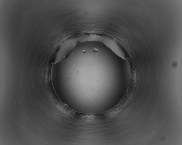 X0000089950428200707131520