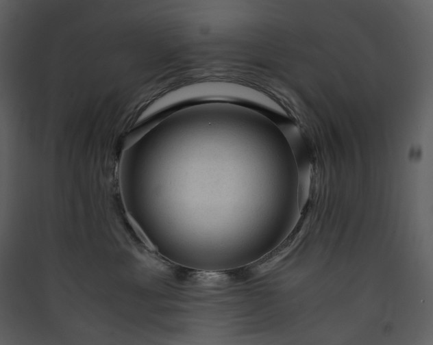 X0000089950429200707131520