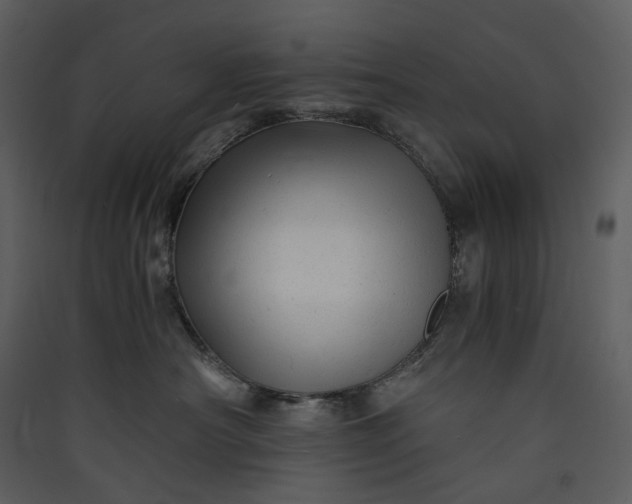 X0000089950430200707131520