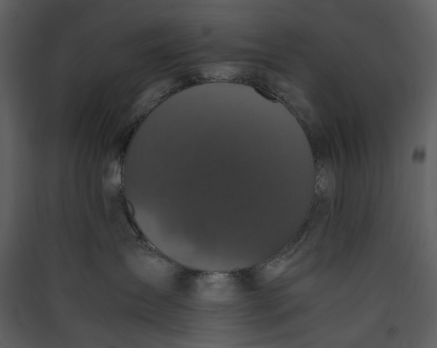 X0000089950431200707131520