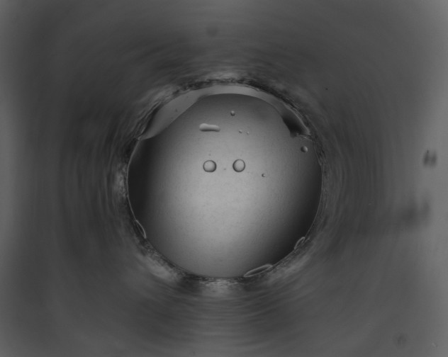 X0000089950432200707131520