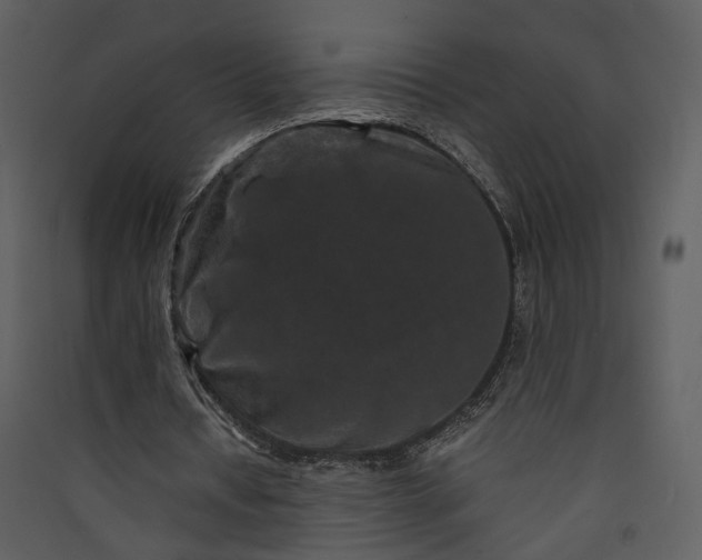 X0000089950434200707131519