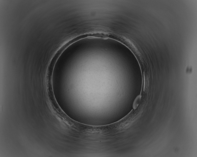 X0000089950435200707131519