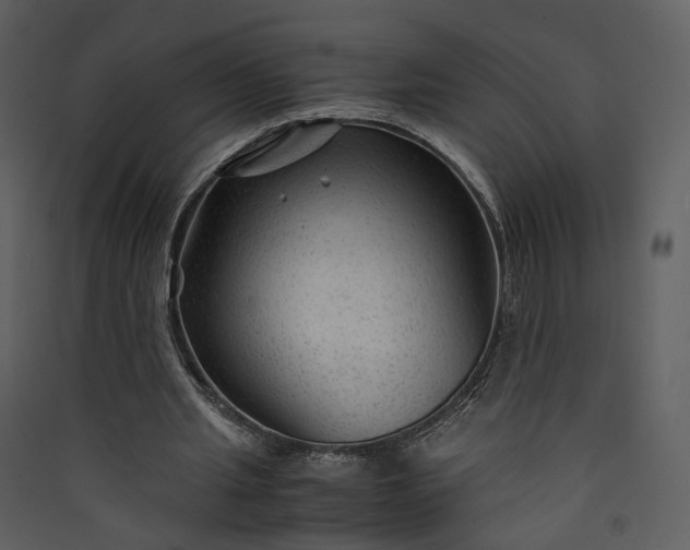 X0000089950437200707131519