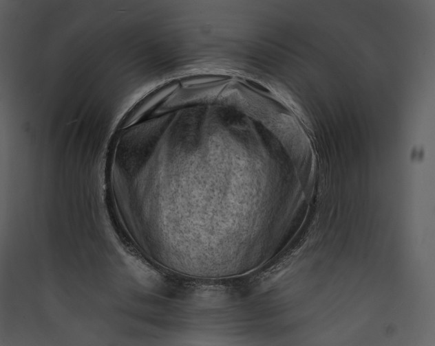 X0000089950438200707131519