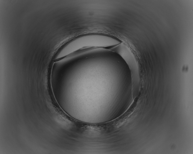 X0000089950442200707131519