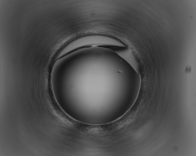 X0000089950446200707131519