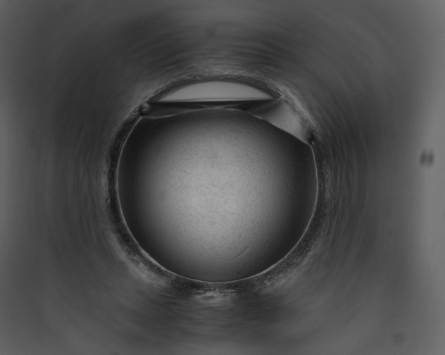 X0000089950447200707131519