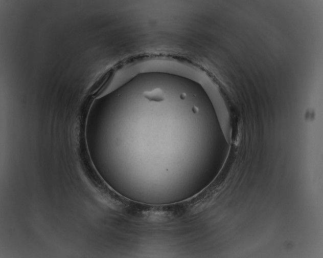X0000089950448200707131519