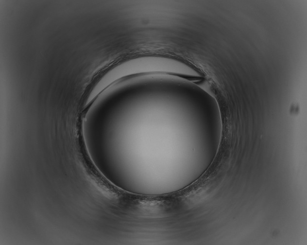 X0000089950450200707131519