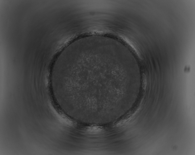 X0000089950451200707131519