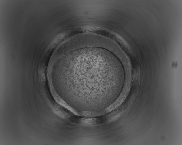 X0000089950452200707131519