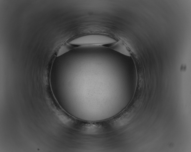 X0000089950453200707131519