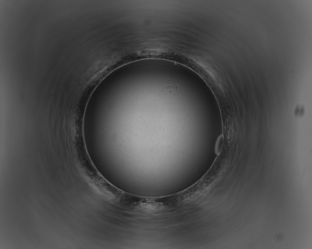 X0000089950455200707131519