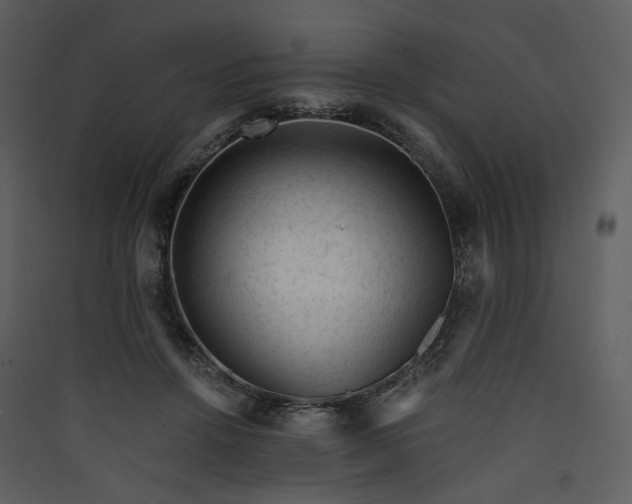 X0000089950456200707131519