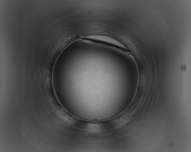 X0000089950457200707131519
