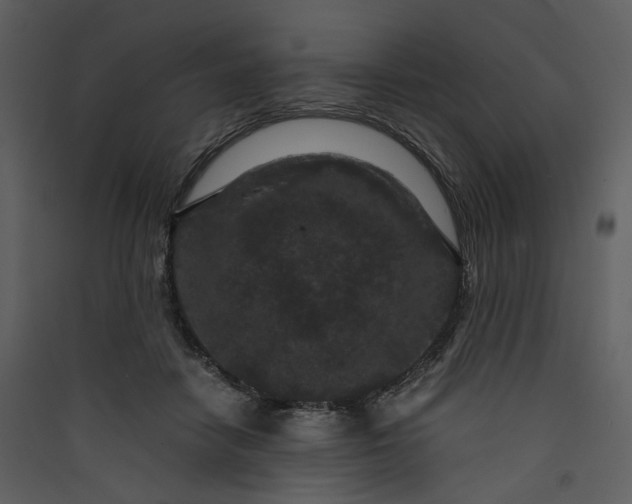 X0000089950458200707131519