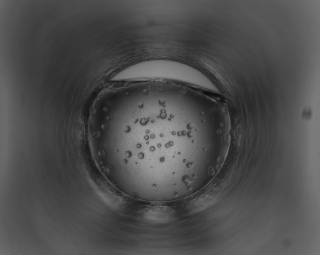 X0000089950459200707131519
