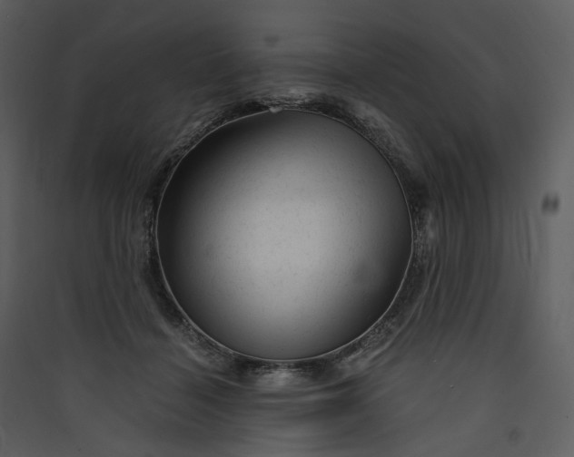 X0000089950460200707131519