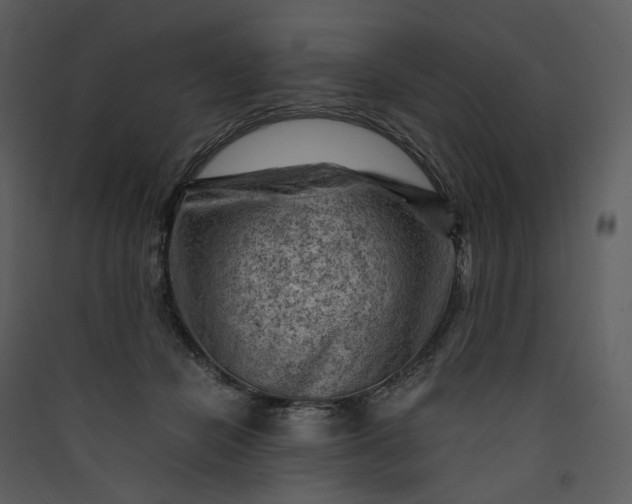 X0000089950462200707131519