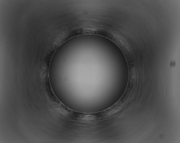 X0000089950463200707131519