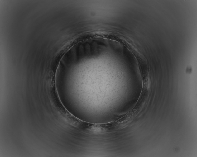 X0000089950464200707131519