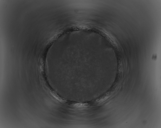X0000089950465200707131519
