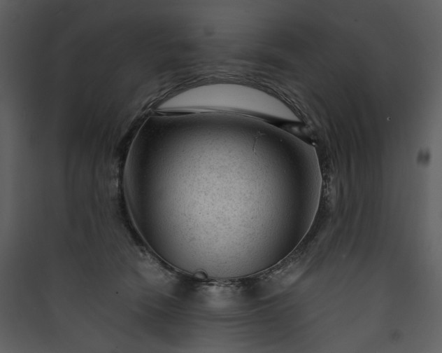 X0000089950466200707131519