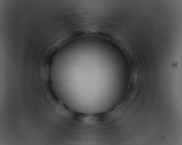 X0000089950468200707131519